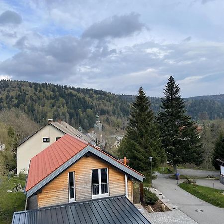 Traumferienwohnung Todtmoos - Appartment Mit Schoenem Wintergarten 외부 사진